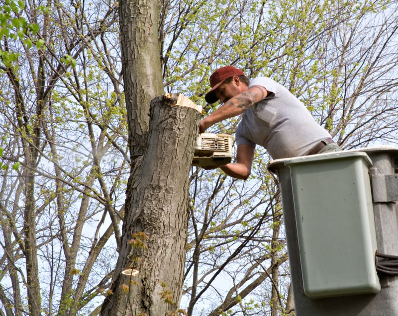 Tree Service
