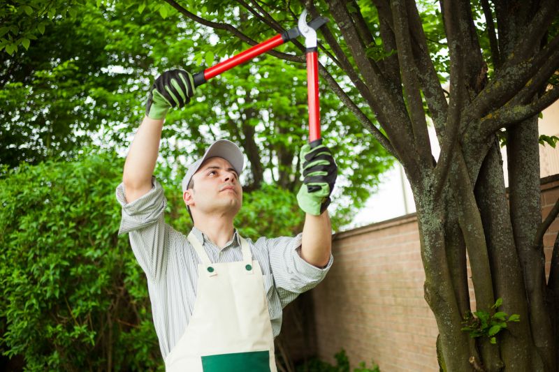 Specialized Tree Pruning Experts